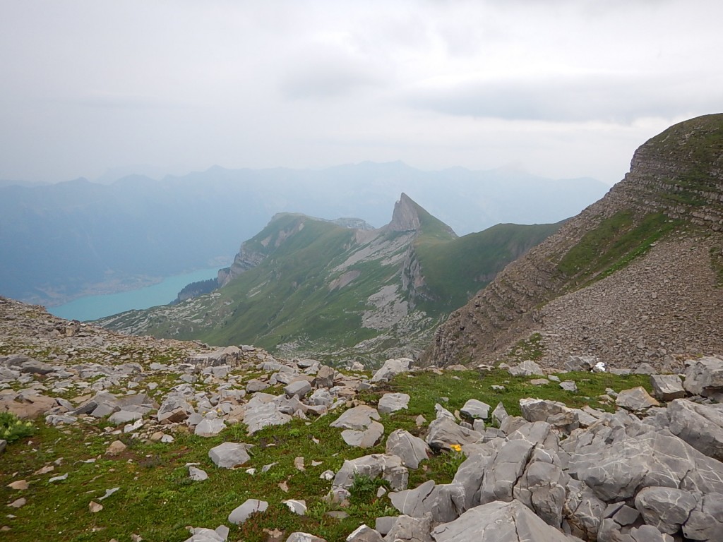 Blick zum Brienzersee