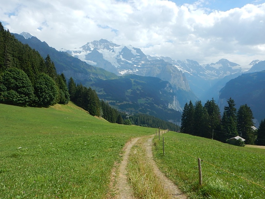 Schon bald in Wengen