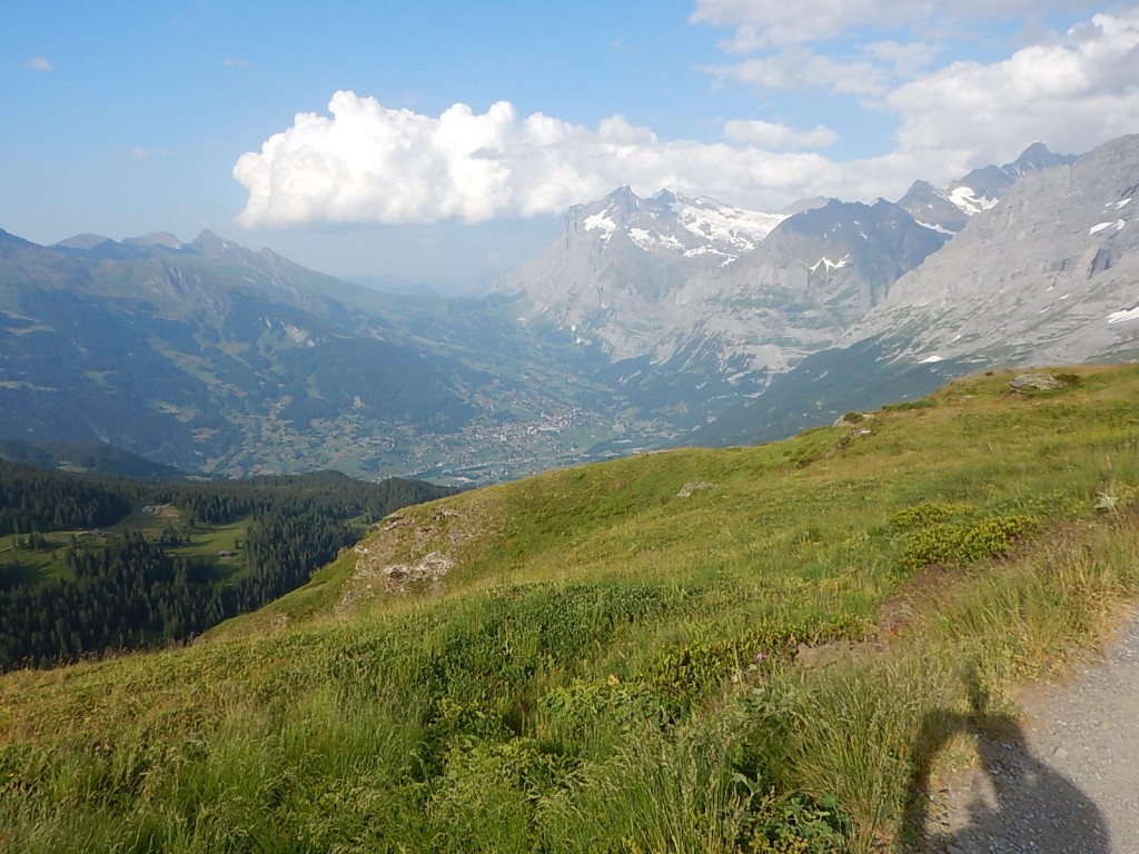 Super Überblick über die Strecke. Auf der Grossen Scheidegg im Hintergrund, waren wir heute auch schon!