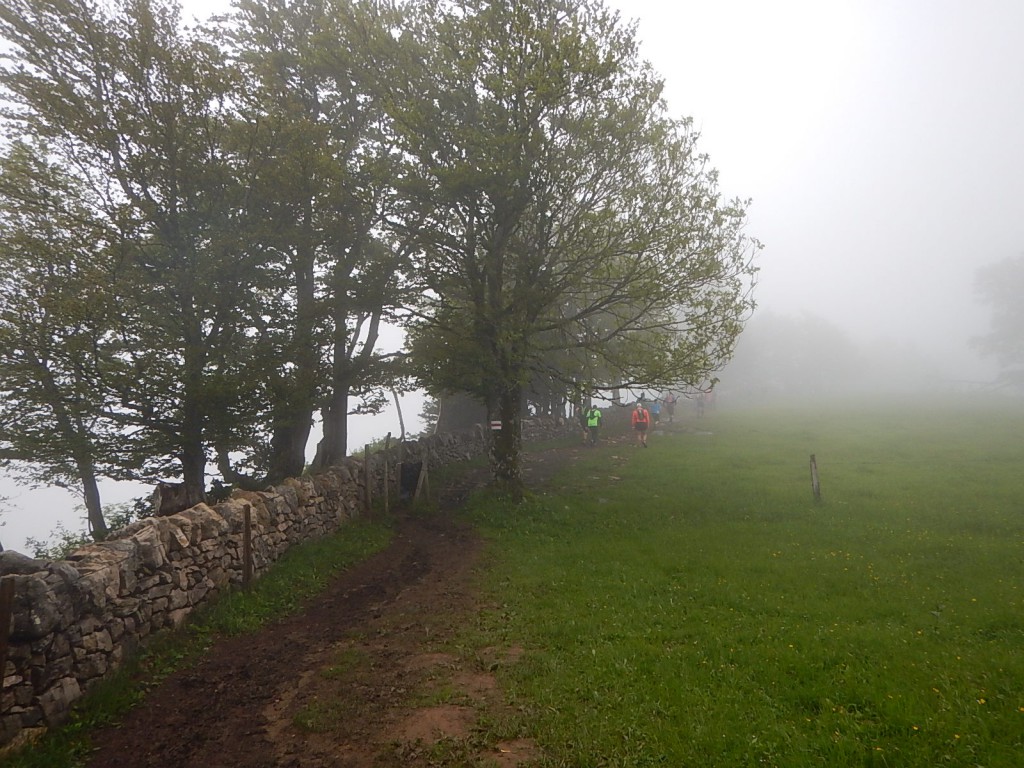 Creux du Van im Nebel