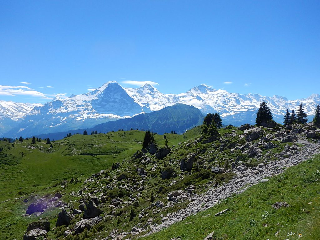 Eiger_Ultra_Trail_2016 (29)